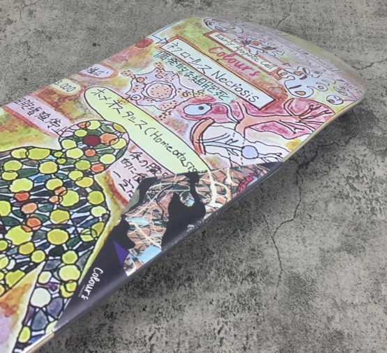 [Skateboard Complete] Colours Collectiv Premium  Hoefler Cell Study Maple Deck