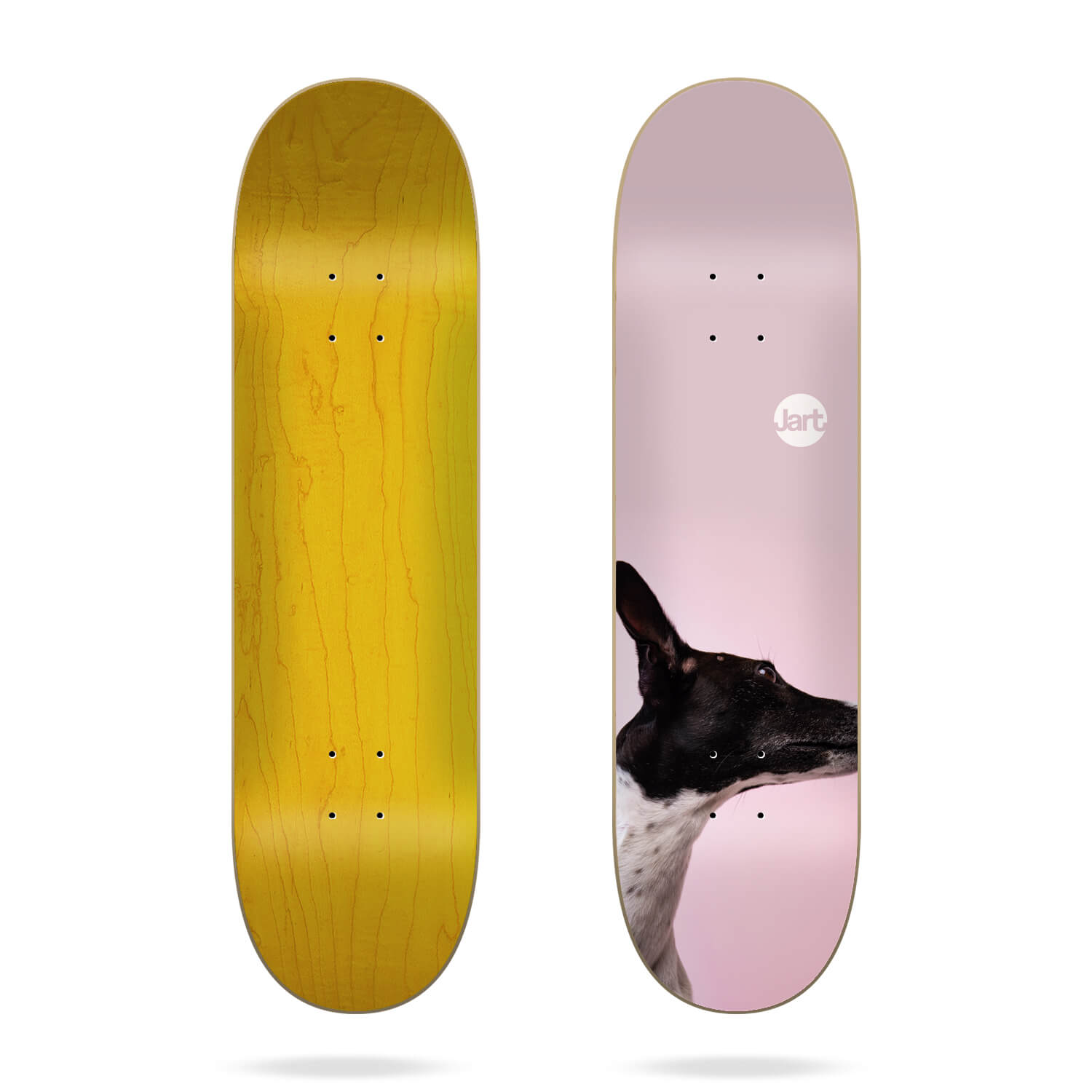 [Skateboard Complete] Jart Friends 8.0″ Deck