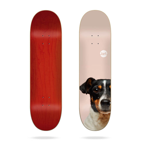 [Skateboard Complete] Jart Friends 8.125″ Deck